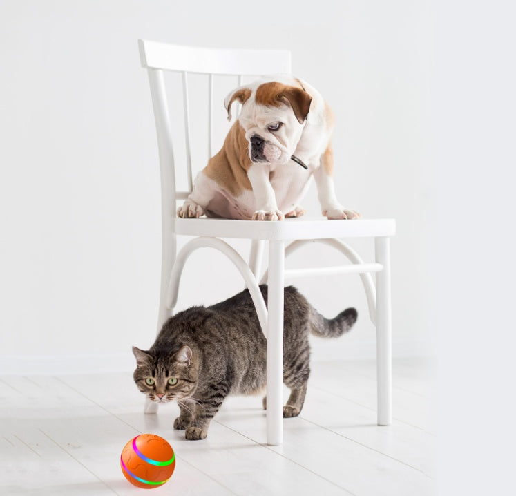 Automatic Rotation Ball for Pets